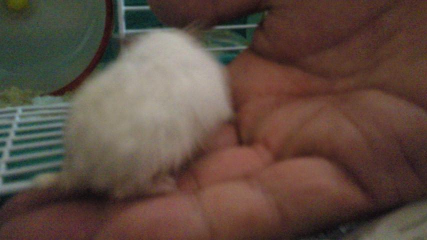 2010080521100000.jpg