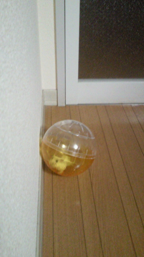 2010080522060001.jpg