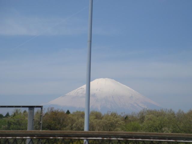 DSC04236.jpg