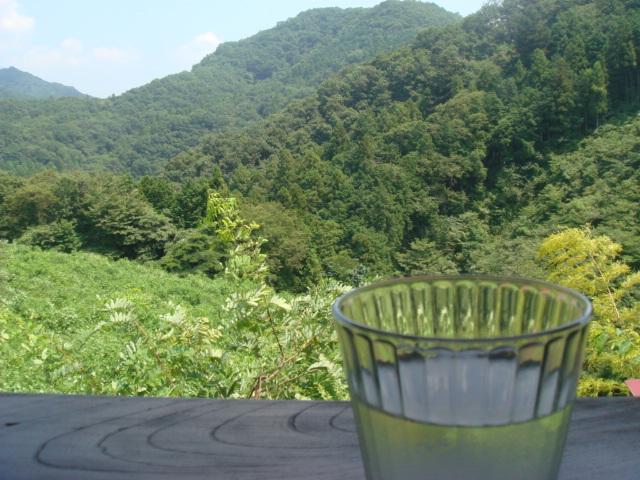 DSC04434.jpg