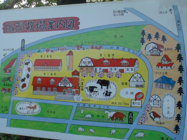 DSC04458.jpg
