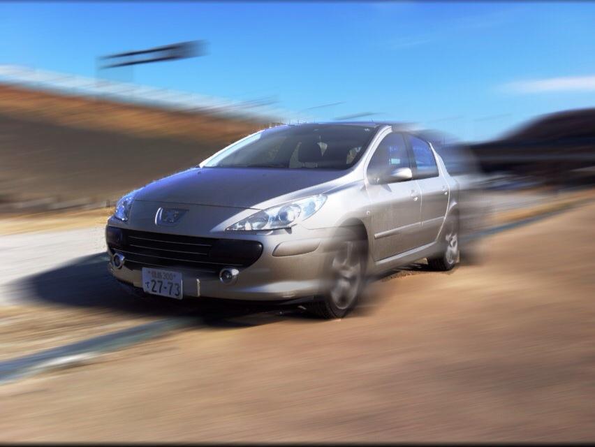 307speed.jpg