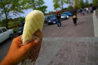 IMG_6395.jpg
