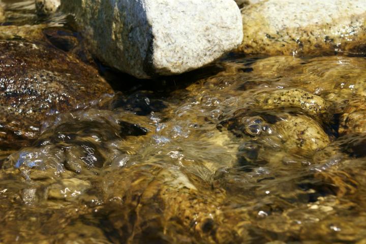 _DSC6127.jpg