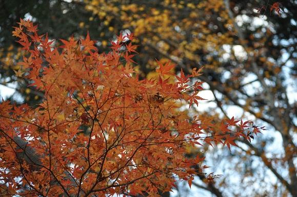 DSC_3022.JPG
