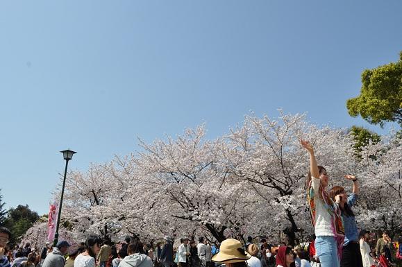 DSC_5900.JPG