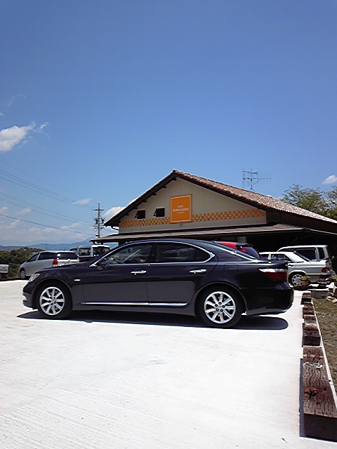 100605_114011.jpg