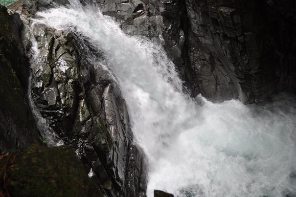 DSC_0588.JPG