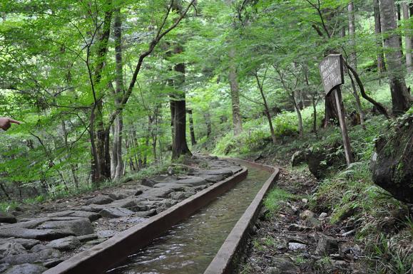 DSC_0639.JPG