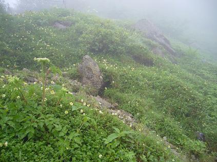 P1020845.JPG