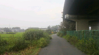 2011081706350000.jpg