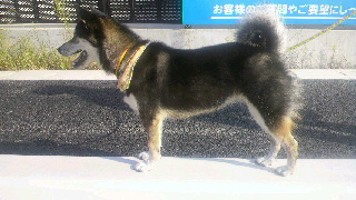 2011092010260000.jpg