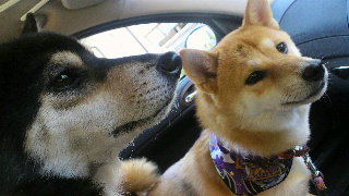 2011092415100000.jpg