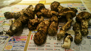 2011101619090000.jpg