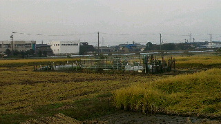 2011102106290000.jpg
