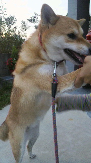 2011102106380000.jpg