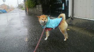 2011102211420001.jpg