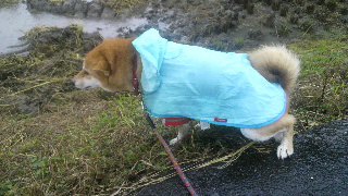 2011102211420002.jpg