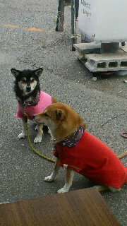 2011102212110000.jpg