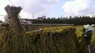 2011102315520002.jpg