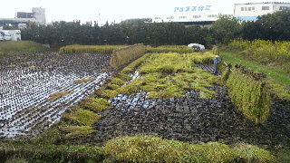 2011102315530000.jpg