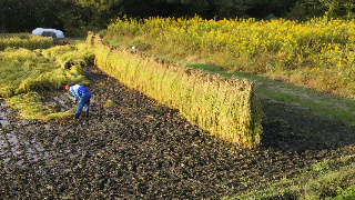2011102315550000.jpg