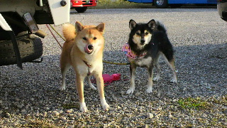 2011102315550001.jpg