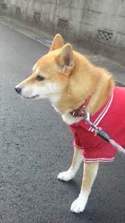 2011102807240000.jpg