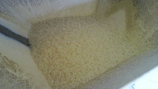 2011111314270000.jpg