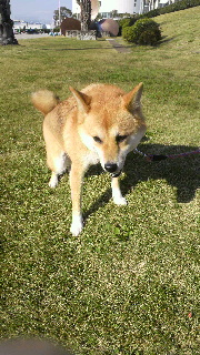 2011111314290000.jpg