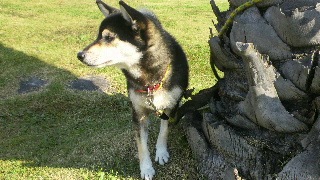 2011111314290001.jpg