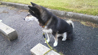 2011112019430001.jpg