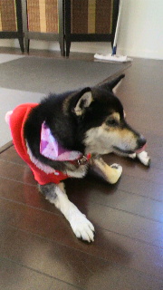 2011112108080002.jpg