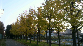 2011112406480000.jpg