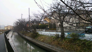 2012030417070001.jpg