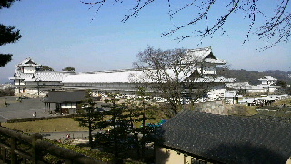 2012033107290000.jpg