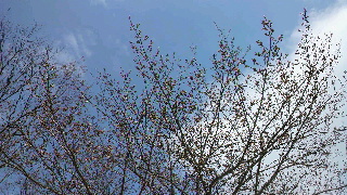2012040113270000.jpg