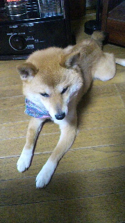 2012040115290000.jpg