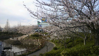 2012040806270000.jpg