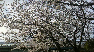 2012040806280001.jpg