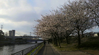 2012040806280002.jpg