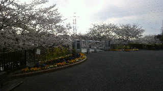 2012040806280003.jpg