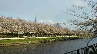 2012040806290001.jpg