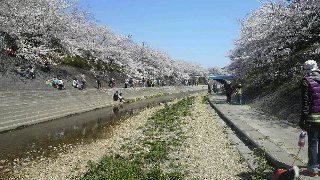 2012040816200000.jpg