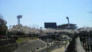 2012040816210000.jpg
