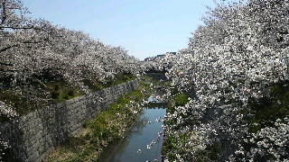 2012040816240000.jpg
