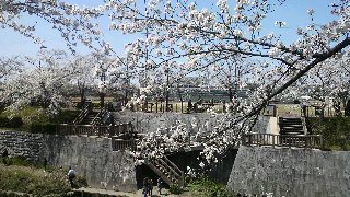 2012040816240001.jpg