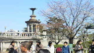 2012040820060001.jpg