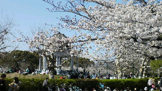 2012040820070000.jpg