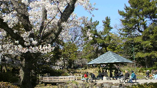 2012040820070001.jpg